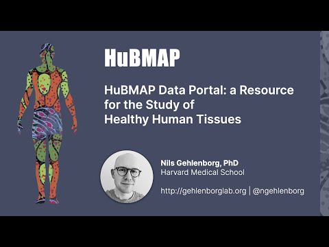 HuBMAP Data Portal: a Resource for the Study of Healthy Human Tissues