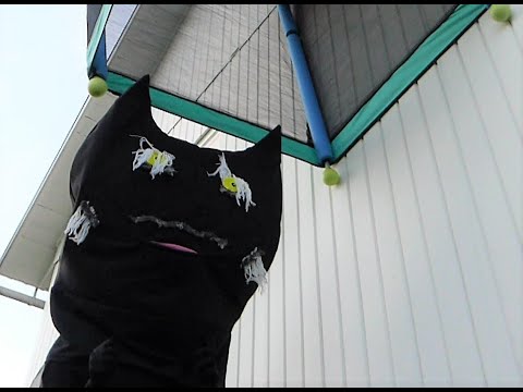 Sommarskuggan ska fångas!