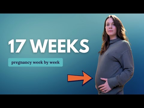 17 Weeks Pregnant 🤰 What to Expect: Changes for You & Baby Movement