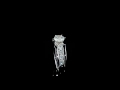 Diamond Engagement Ring 1 75 Carat Ctw In 14K White Gold