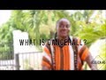 What is Dancehall?