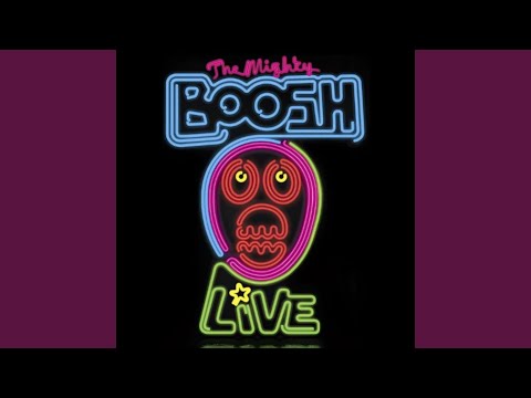 What You Been Up To?