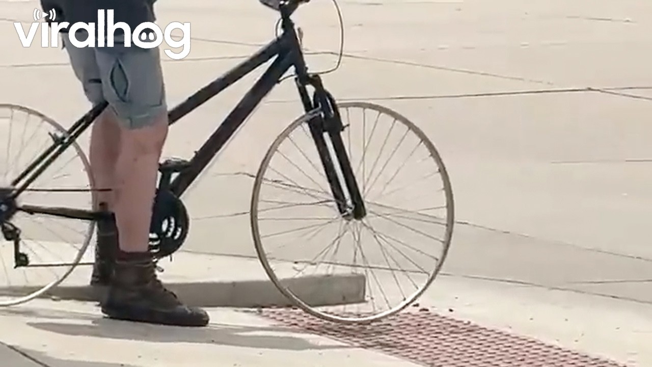 Tires Have Left the Chat || ViralHog