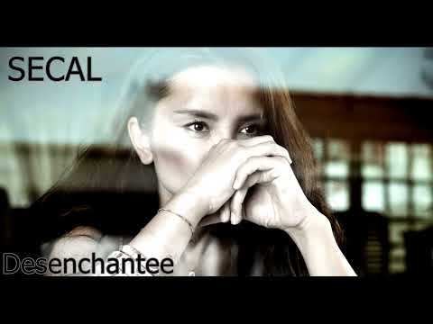 SECAL - Désenchantée (Mylène Farmer Cover)
