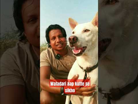 wafadari kutte se sikho!#shorts #ytshort#prabhatkumar-427