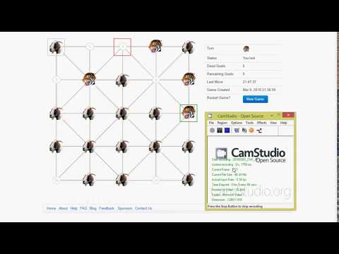 Playing Online Baghchal