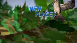 Thank You for Coming on Estonia - Latvia Road Trip!