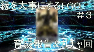 [縛り実況プレイ]縁を大事にFGO（ガチャ＆育成結果発表会）#3