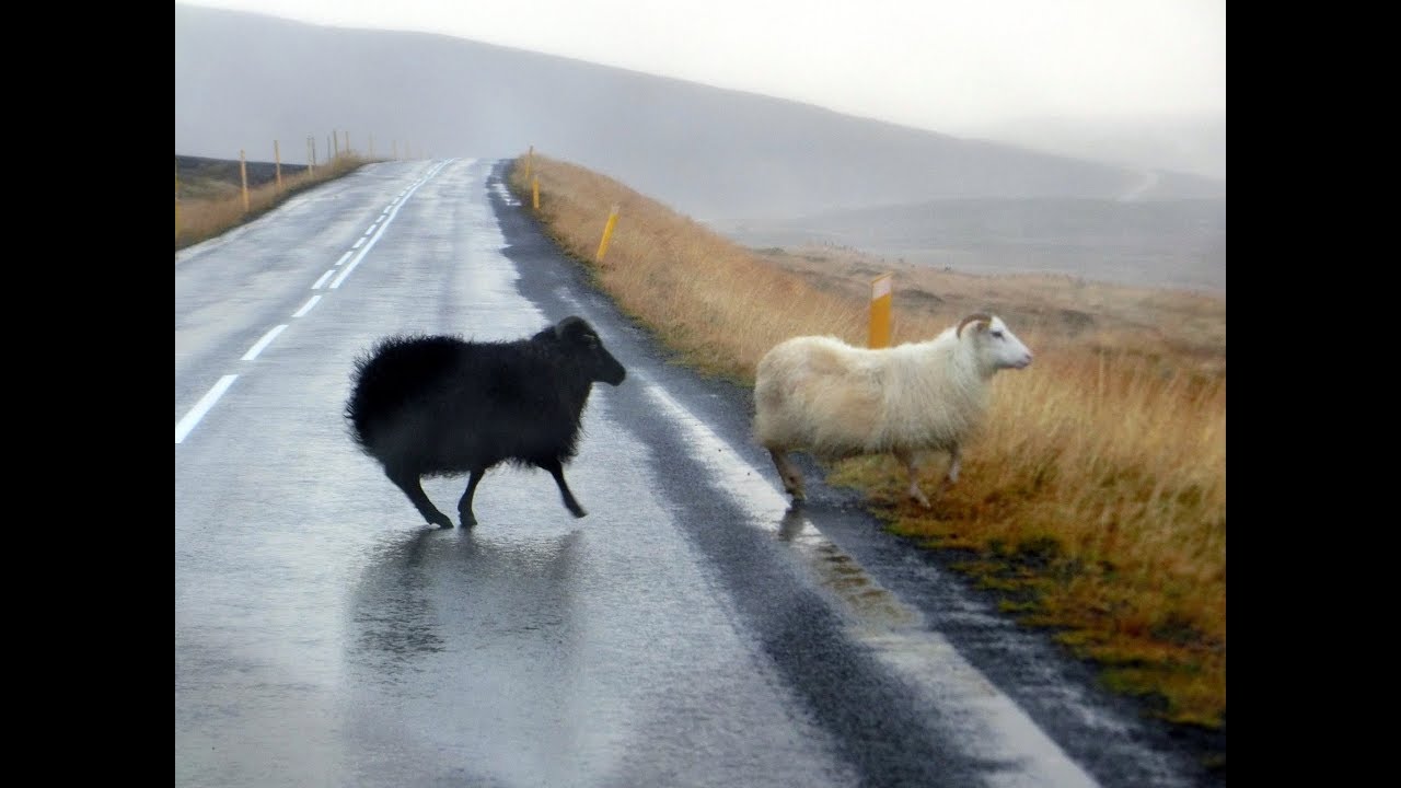 Amazing Iceland - Drone 4K