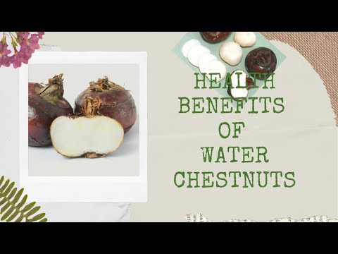 Health benefits of water chestnuts