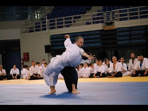 Theodoros Tempos, Greece / Aikido demonstration 2016