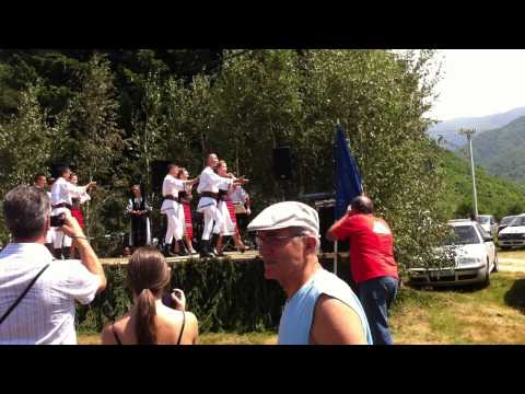 Valea Moasei Fiii Satului 2012 10