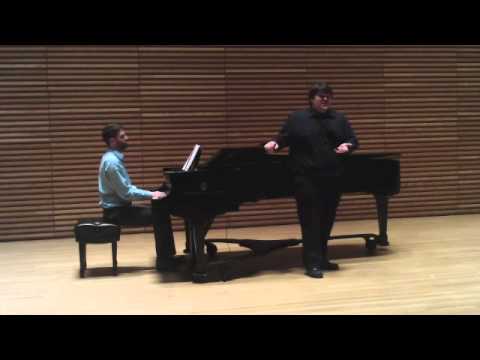 Pace non trovo - Franz Liszt