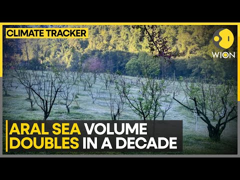 Once Dry, Aral Sea Sees New Life; Water Conservation Project Boosts Aral Sea Levels | WION