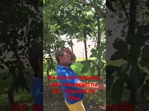 Osório, Chácara K2, Nova Iorque, MA