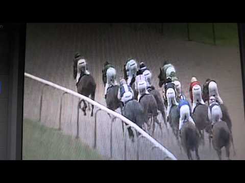 GALOPPSPELAREN - Holly Martins två på Wolverhampton 2012-06-07.