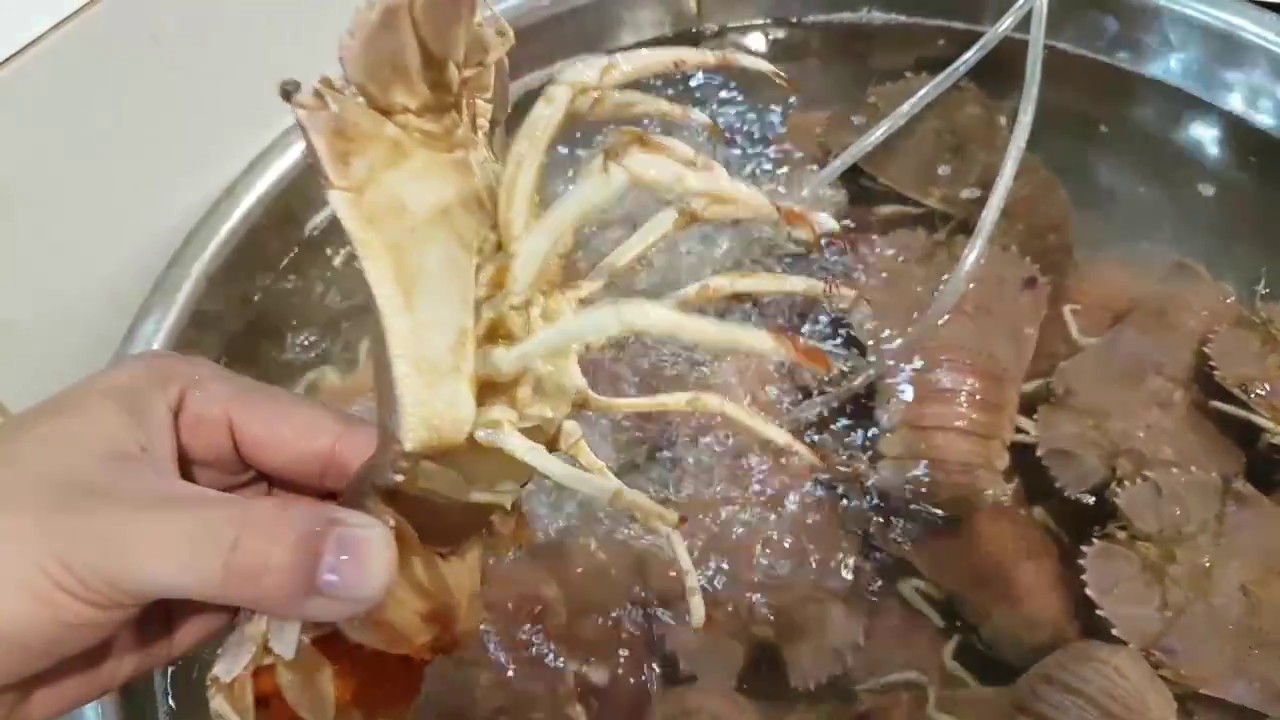 Experience a fascinating peek of Ham Ninh Fishing Village.