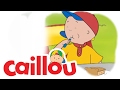 Caillou Shoo Shoo Bird Fly Away S04E15 Cartoon For Kids