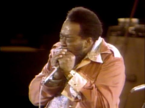 JAMES COTTON : Toronto 1978