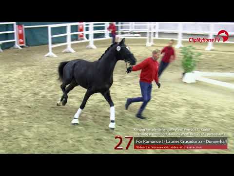 27 Junghengst v. For Romance - Lauries Crusador xx