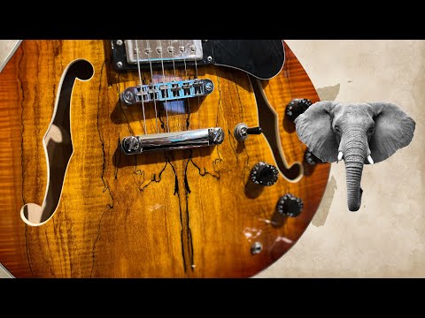 Firefly FF338 Spalted Maple: The Elephant in the Room? (Unbelievable Value!)