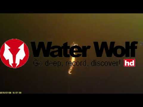 Pike Strikes - Water Wolf Underwater Footage