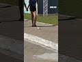 Have You Ever Seen A Dog This Small Shorts