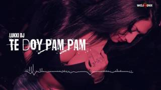 Lukki DJ - Te doy Pam Pam (Flowremix 2016)