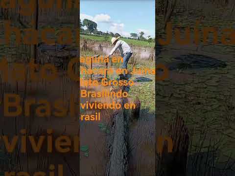 Laguna en Chácara en Juína, Mato Grosso #Brasilindo #viviendo en Brasil