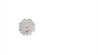 Jay Welsh - The Poet (Maurices 'Cloaked' Mix)