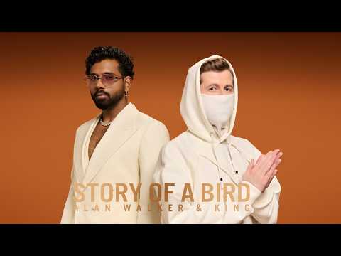 Alan Walker - Story of a Bird (w/ King) on Spotify Charts