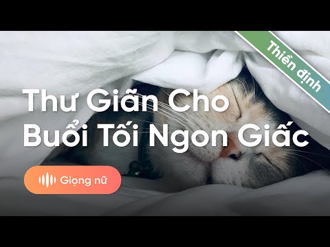 [Thiền] Dễ dàng chìm sâu vào giấc ngủ với 15 phút thiền thư giãn