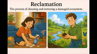 What is Reclamation - Easy to Understand