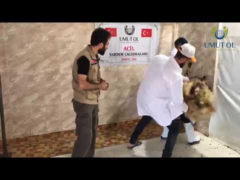 Suriye Adak Akika ve Sadaka Kurban Çalışmaları