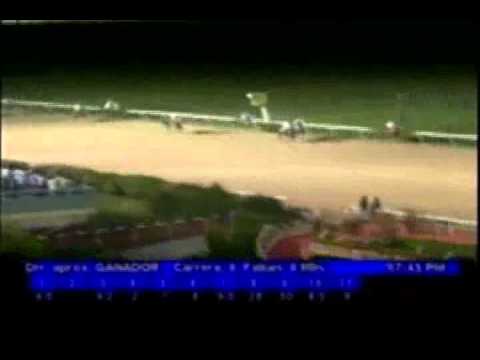 Resumen Viernes, 11 de Noviembre de 2011 - Valencia