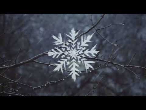 Her Last Sight - "ZERO" | (Official Lyric Video)