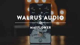Video thumbnail for Walrus Audio Mayflower | Reverb Demo Video by Reverb