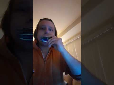 Gorillaz - We Are Happy Landfill (double harmonica cover)