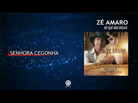 Zé Amaro – Senhora cegonha (Art Track)