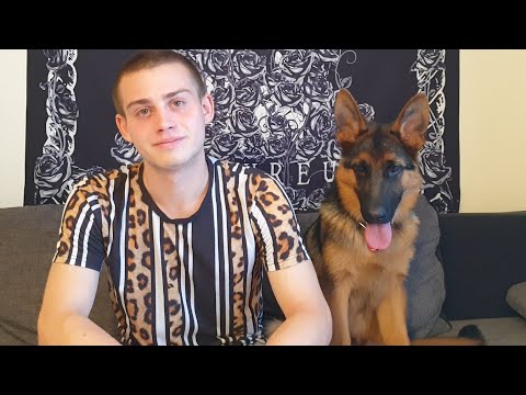 Face feat. Bosca - Düsen auf den Tisch Reaktion