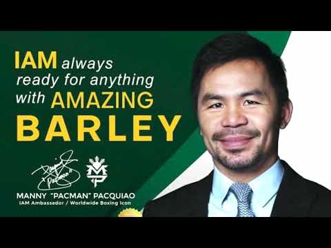 Get Your Dream Faster   PART 3 by Mark Tamayo IBP 101