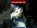 मेरठ की सड़कों पर तेंदुए का खौफ़ Shorts