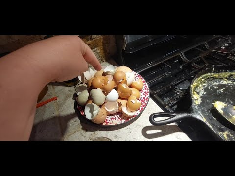 Essential DIY Calcium Hack for Happy and Healthy Chickens on Your Small Farm