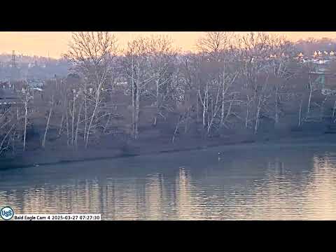 USS Bald Eagle Cam 4 on 3-27-25 Irvin catches fish and heads back to the nest.