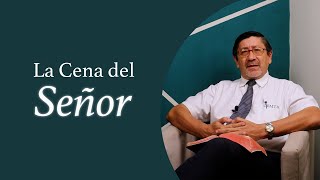 ¿Cómo debe entenderse el Señorío de Cristo?