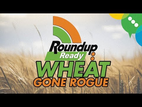 download lagu mp3 mp4 Roundup Ready Alfalfa Price, download lagu Roundup Ready Alfalfa Price gratis, unduh video klip Roundup Ready Alfalfa Price