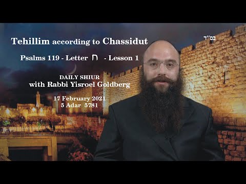 TEHILLIM according to CHASSIDUT - Tehillim 119 Letter ח - Lesson 1