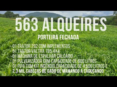 R$ 45 MILLION - FARM IN GOIÁS - FULLY EQUIPPED - GOOD AND ENDLESS WATER SUPPLY #farmforsaleingoias