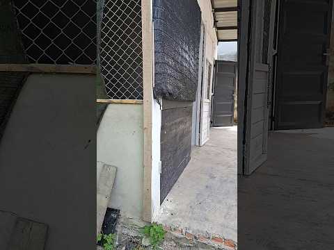 kemana papa kemana papa !!!