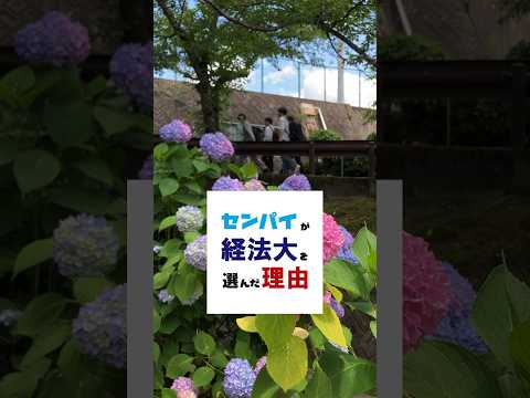 センパイが経法大を選んだ理由　#留学